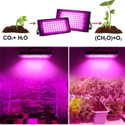 200w Led Grow Light 180 Degree Adjustable Full Spectrum Hydroponic Plant Growing Lamp for Indoor Plants 50W