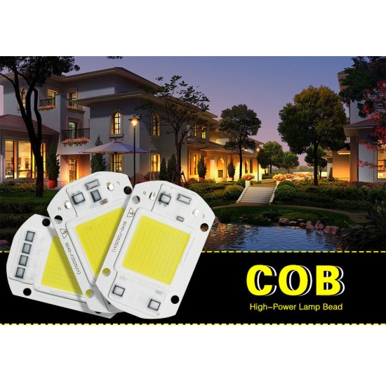 220V LED Floodlight 20W/30W/50W White/Warm Light COB Chip Integrated Smart IC Driver Lamp Warm light