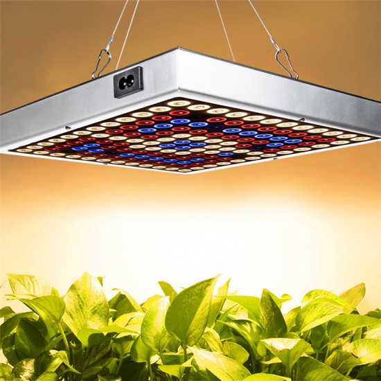 25W/45W Full Spectrum LED Grow Light Series Circuits Lamp for Greenhouse Indoor Plants