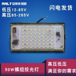 30W/50W LED Thin Outdoor Floodlight with White Light 6500K 12-85V 50W