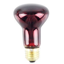 40W Pet Infrared Heating Light Bulb for Reptile  E27 200-240V