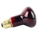 40W Pet Infrared Heating Light Bulb for Reptile  E27 200-240V