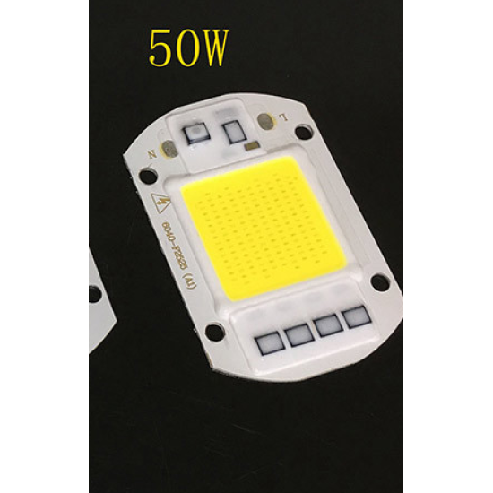 AC 110V 220V LED Floodlight COB Chip Smart IC Driver Bulb Lamp 20W 30W 50W 50W AC110V Cool White
