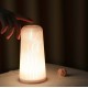 ZYS-3D Print Night Lamp USB Rechargeable LED Colorful Lights Home Decoration white