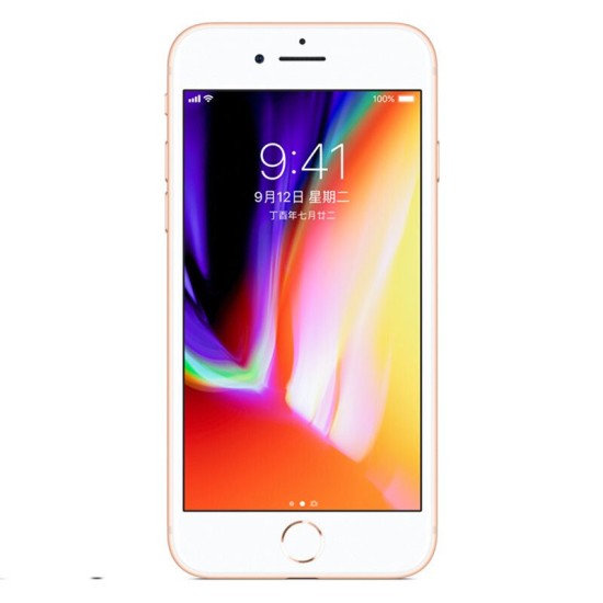 Apple iPhone 8 12MP+7MP Camera 4.7-Inch Screen Hexa-core IOS 3D Touch ID LTE Fingerprint Phone with Euro Plug Adapter Silver_256GB