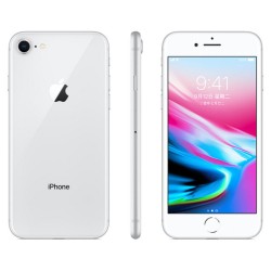 Apple iPhone 8 12MP+7MP Camera 4.7-Inch Screen Hexa-core IOS 3D Touch ID LTE Fingerprint Phone with Euro Plug Adapter Silver_256GB